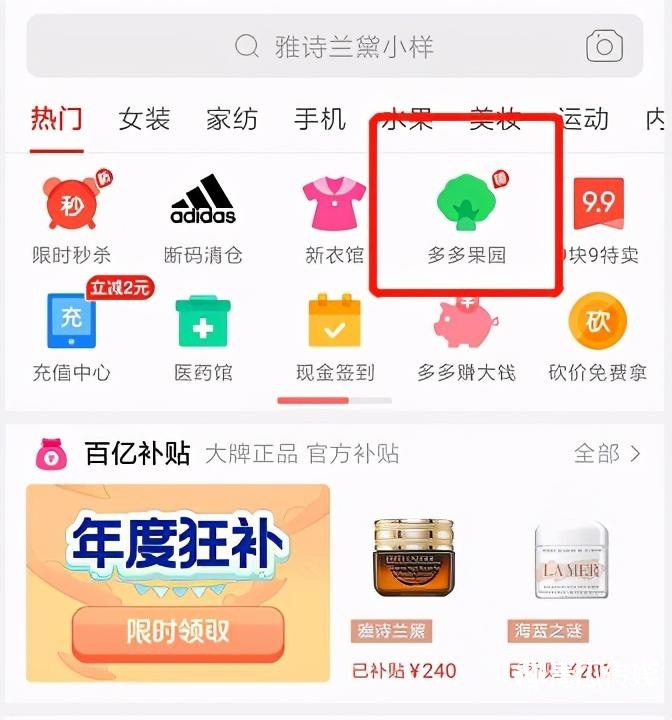 杭州拼多多童装运营_拼多多运营_义乌拼多多代运营公司