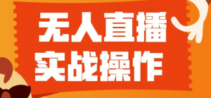 抖音最新最火的无人直播玩法，挂机玩法每天撸音浪+收徒日入四位数！ (游戏软件+开播教程)-虎哥说创业