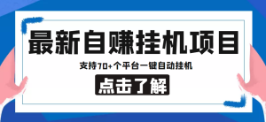 最新安卓手机自赚短视频多功能阅读挂机项目，支持70+个平台【自动脚本+使用教程】-虎哥说创业