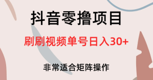 抖音零撸项目，刷刷视频单号日入30+-虎哥说创业