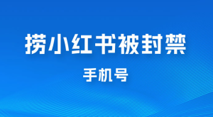 捞小红书被封禁手机号，小红书被封号禁言账号手机换绑-虎哥说创业