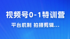 视频号 0-1 特训营：平台机制、拍摄剪辑、内容创作、爆款公式，实战案例分享-虎哥说创业