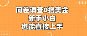 国内可做的国外问卷调查，0撸美金，新手小白也能直接上手-虎哥说创业