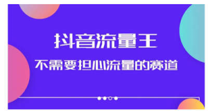 抖音流量王，不需要担心流量的赛道，美女图文音乐号升级玩法（附实操+养号流程）-虎哥说创业