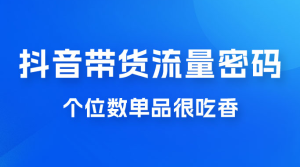 撬开抖音带货流量的终极密码，个位数单品很吃香，新手容易操作-虎哥说创业