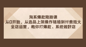 淘系爆款陪跑课：从选品上架操作链接到付费放大、全店运营、打爆款、系统做好店-虎哥说创业
