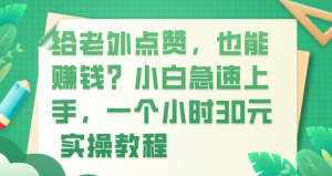 给老外点赞，也能赚钱？小白急速上手，实操教程-虎哥说创业