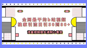 全网最干的 B 站视频独家引流，日引 50~80+ 流量-虎哥说创业