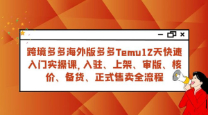 拼多多海外版 Temu 跨境电商 12 天快速入门实战课，从入驻上架到正式售卖全流程-虎哥说创业