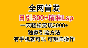 日引 800+ 精准老色批，一天变现 2000+，独家引流方法，可矩阵操作，月入 5W+-虎哥说创业