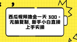 西瓜视频撸金一天 300＋，无脑复制，新手小白直接上手实操-虎哥说创业