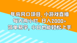 年底风口项目，小游戏直播，每天两小时，日入2000+，简单易学，小白也能轻松上手-虎哥说创业