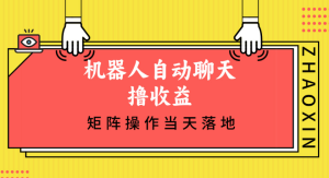 机器人自动聊天撸收益，单机日入500+矩阵操作当天落地-虎哥说创业