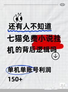 七猫免费小说无脑全自动项目，带你轻松挣钱，单机166，可放大操作-虎哥说创业