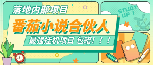 全新落地项目 番茄小说全自动挂机 合伙人模式 单机4倍收益 单机45+-虎哥说创业